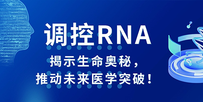 調(diào)控RNA：揭示生命奧秘，推動(dòng)未來(lái)醫(yī)學(xué)突破！